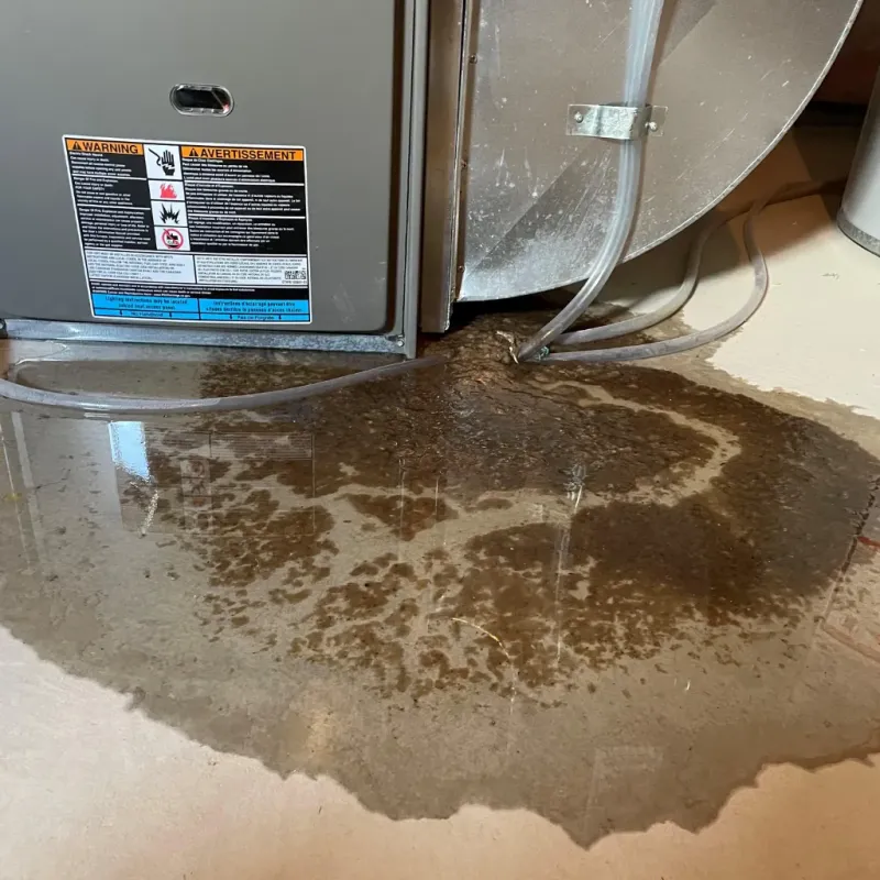 Appliance Leak Cleanup in Manor, TX